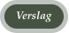 Verslag